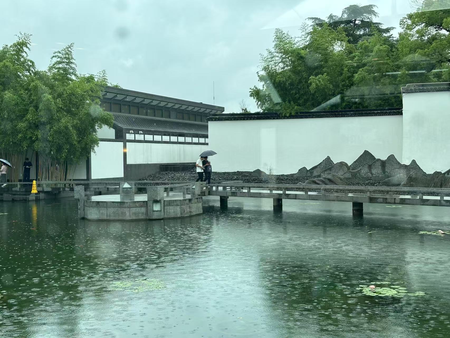 照片6